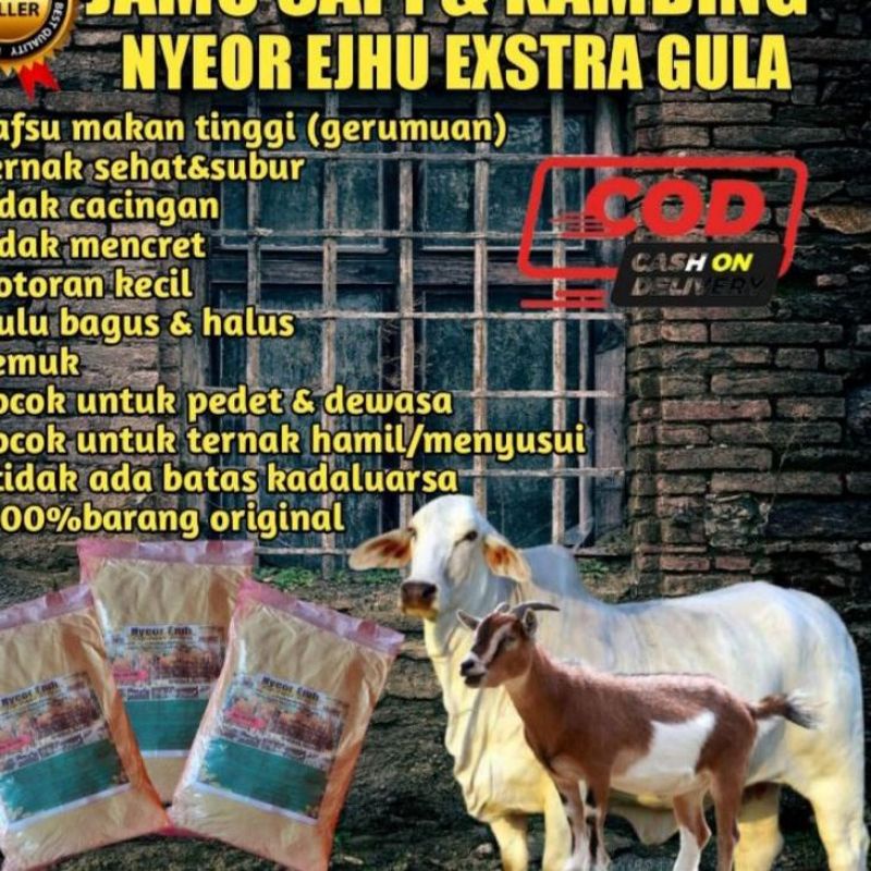 

Jamu Sapi Nyeor Ejuh Penggemuk Penghalus Bulu Nafsu Makan Extra Gula