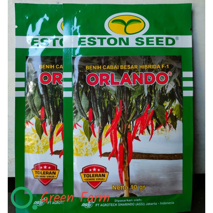 Cabe Besar Orlando F1 10gr Tahan Virus Original Pabrik Eston Seed