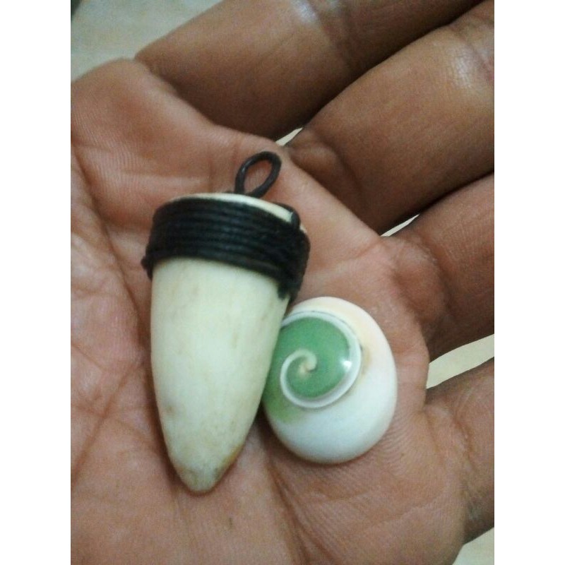 LIONTIN TARING BUAYA ORIGINAL ASLI 100%