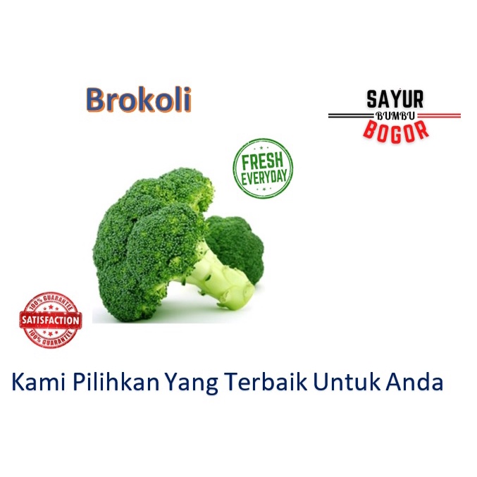 

Brokoli / Brokoli Segar / Sayuran Segar