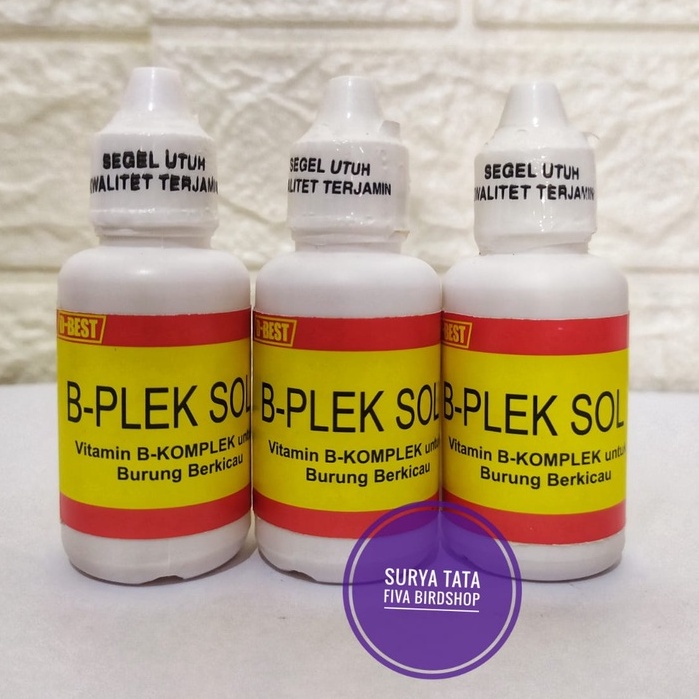 B-Plek SOL Solution Vitamin untuk burung lumpuh tetelo & ayan untuk burung murai batu kacer kenari l