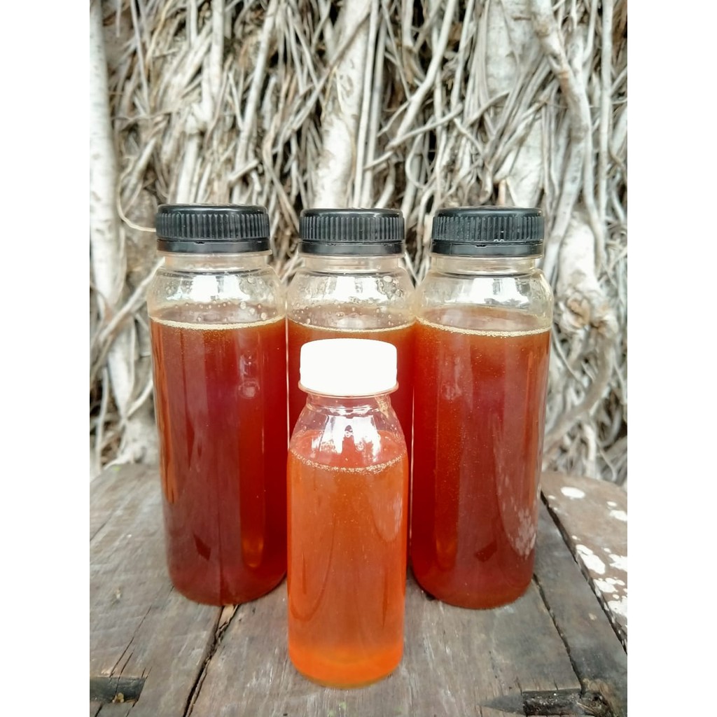 

Madu hutan kalimantan asli danau sentarum