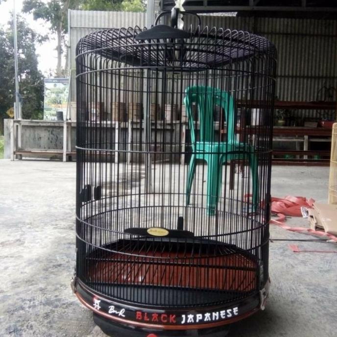 =====] Sangkar murai batu bnr black japanese akrilik timbul