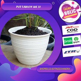 POT BUNGA TAWON PUTIH 21 ASLI BJP KEMBANG TANAMAN HIAS POT BUNGA TAWON PUTIH 21 ASLI BJP KEMBANG TANAMAN HIAS
