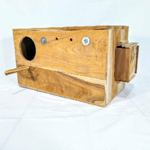 Glodok Sarang Bertelur untuk Ternak Burung falk cocktail parkit autrali