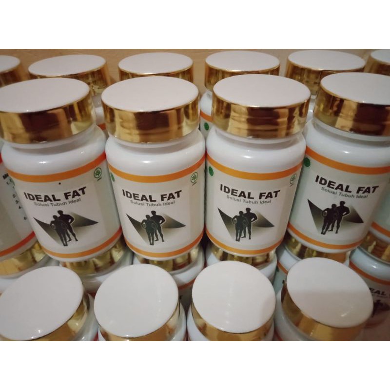IDEAL FAT : PAKET B