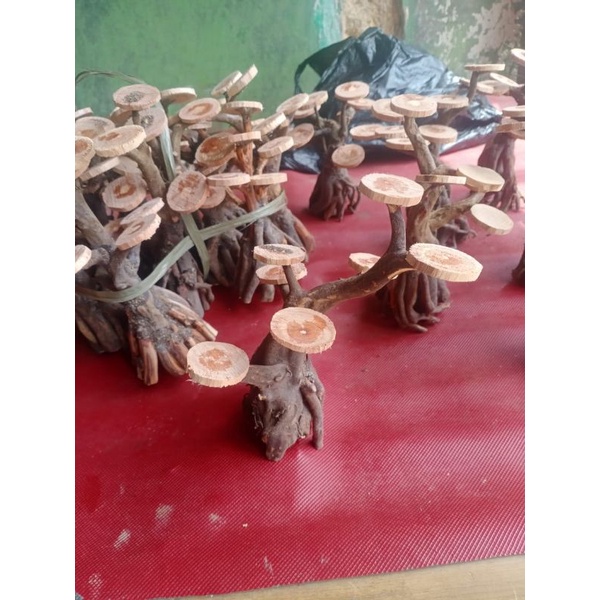 bahan bonsai Aquascape