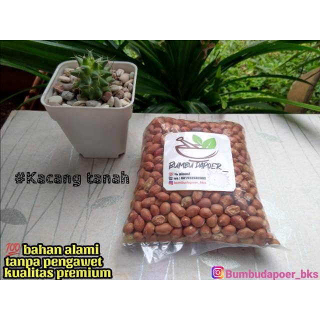 

Kacang tanah premium super