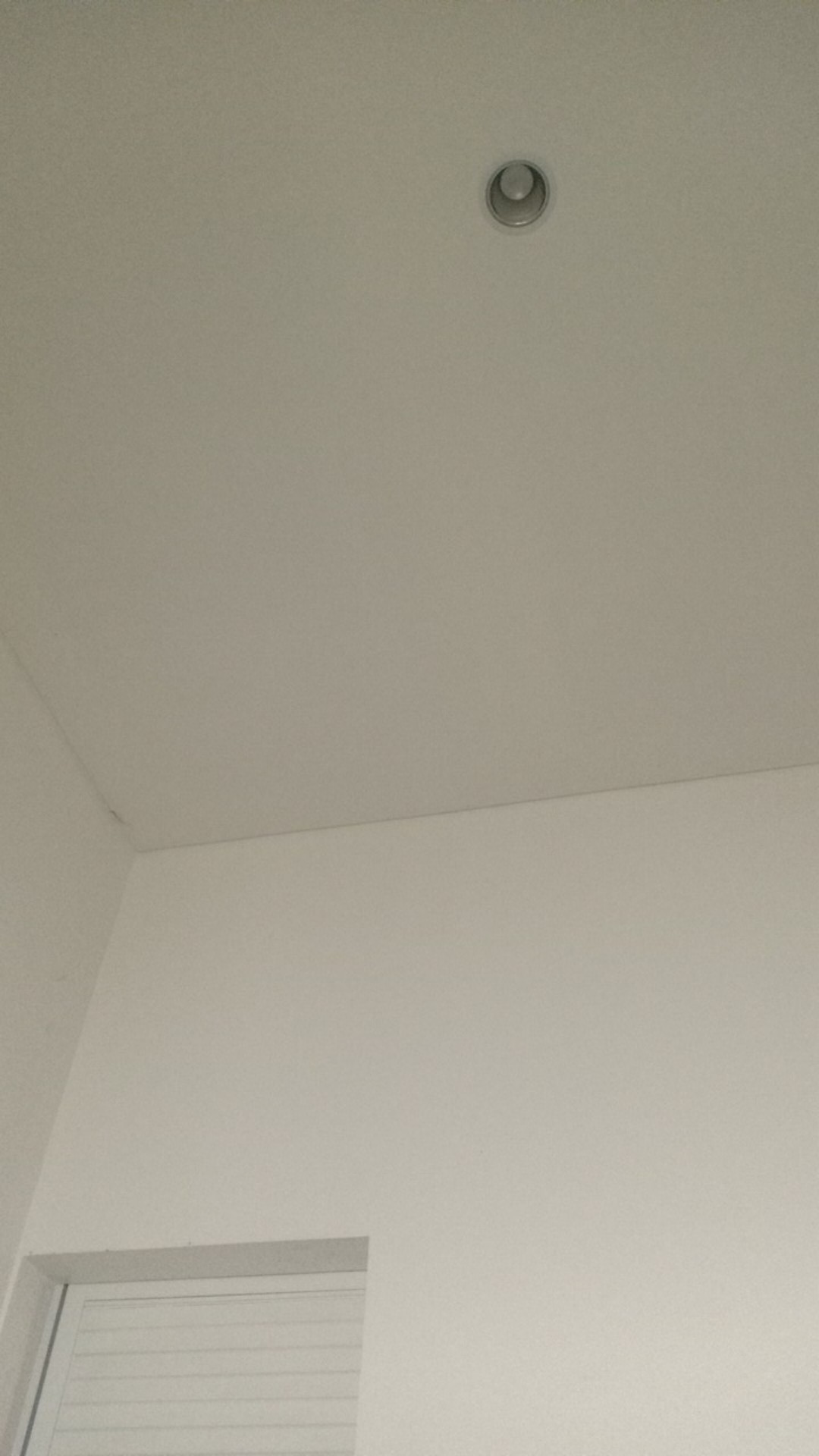 Benih Tanaman Oyong Gambas Biji Buah Bibit Sayur Sayuran Seed Refill