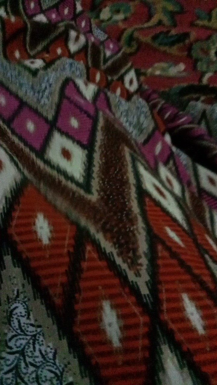 Botol Roll On 10ml (free Bobble Wrap)