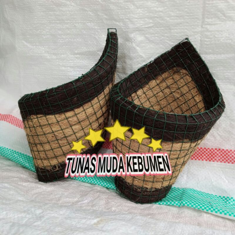 Pot Bunga Anggrek Sabut Kelapa Pot Bunga Anggrek Tempel