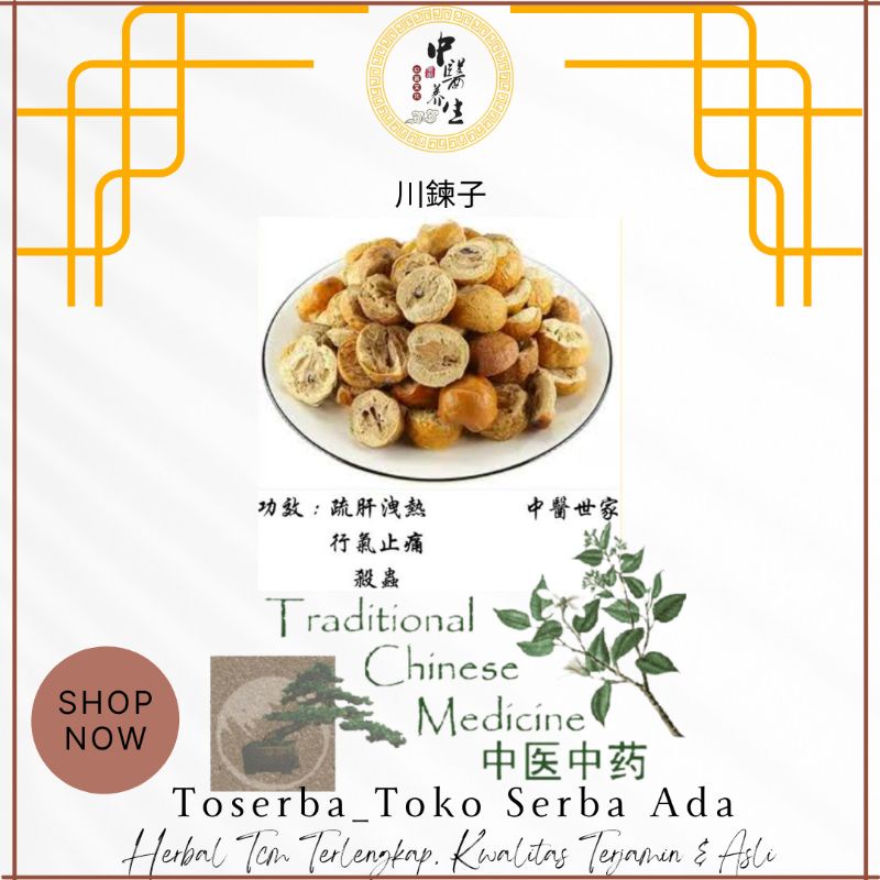 

100gr Herbal Chuan Lian Zi 川鍊子 苦楝子 金鈴子 Fructus Toosendan Szechwan Chinaberry Fruit