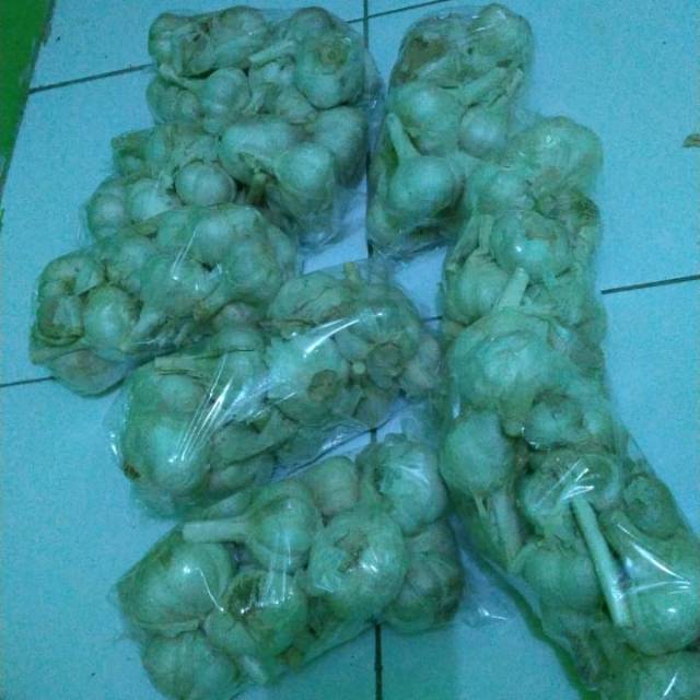 

Bawang kating