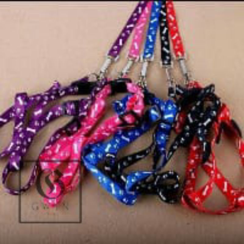 Harnes Kucing Leash Tali Harnes Rompi Musang Tali Tuntun Kucing