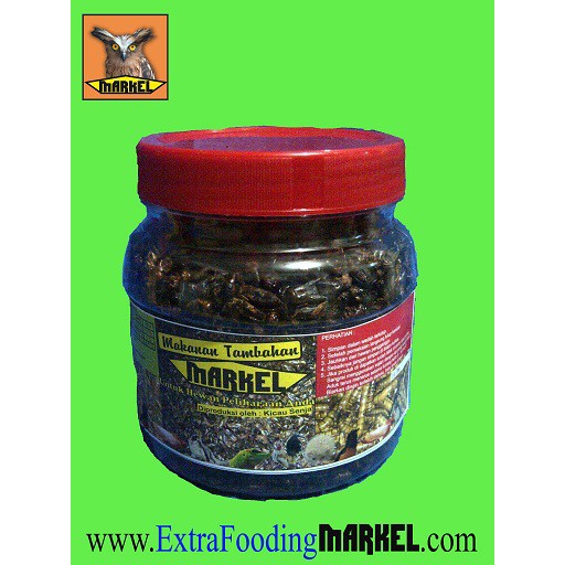

Jangkrik Kering Utuh 200gr Toples