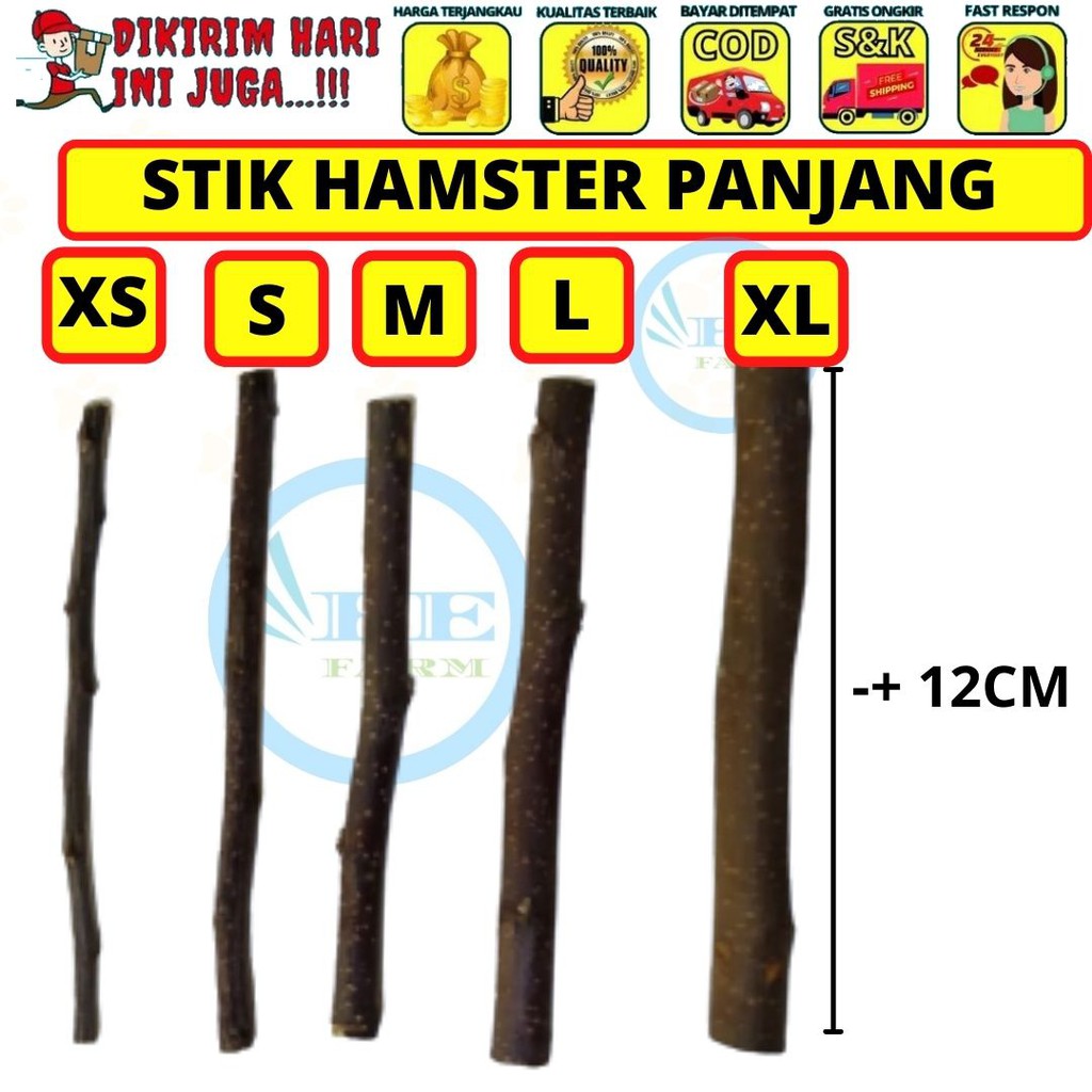 HAMSTER - GIGITAN HAMSTER APEL - APPLE ORCHAD STICK KELINCI TUPAI FEFARM