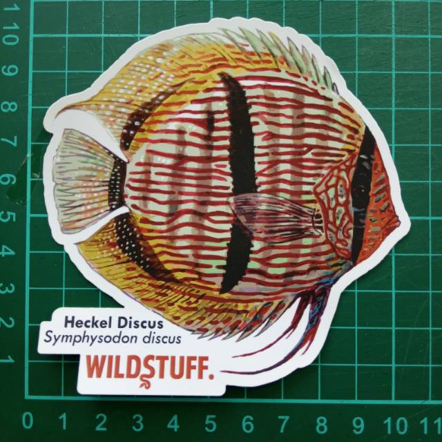 Sticker Wildstuff - Discus Heckel