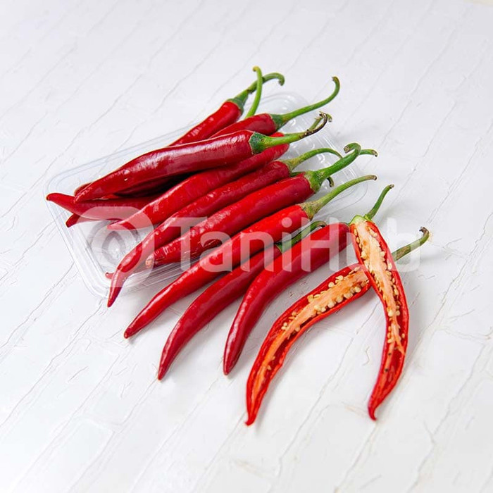 

Roxx.ea - .ea - .ea - Cabai Merah Besar 1Kg