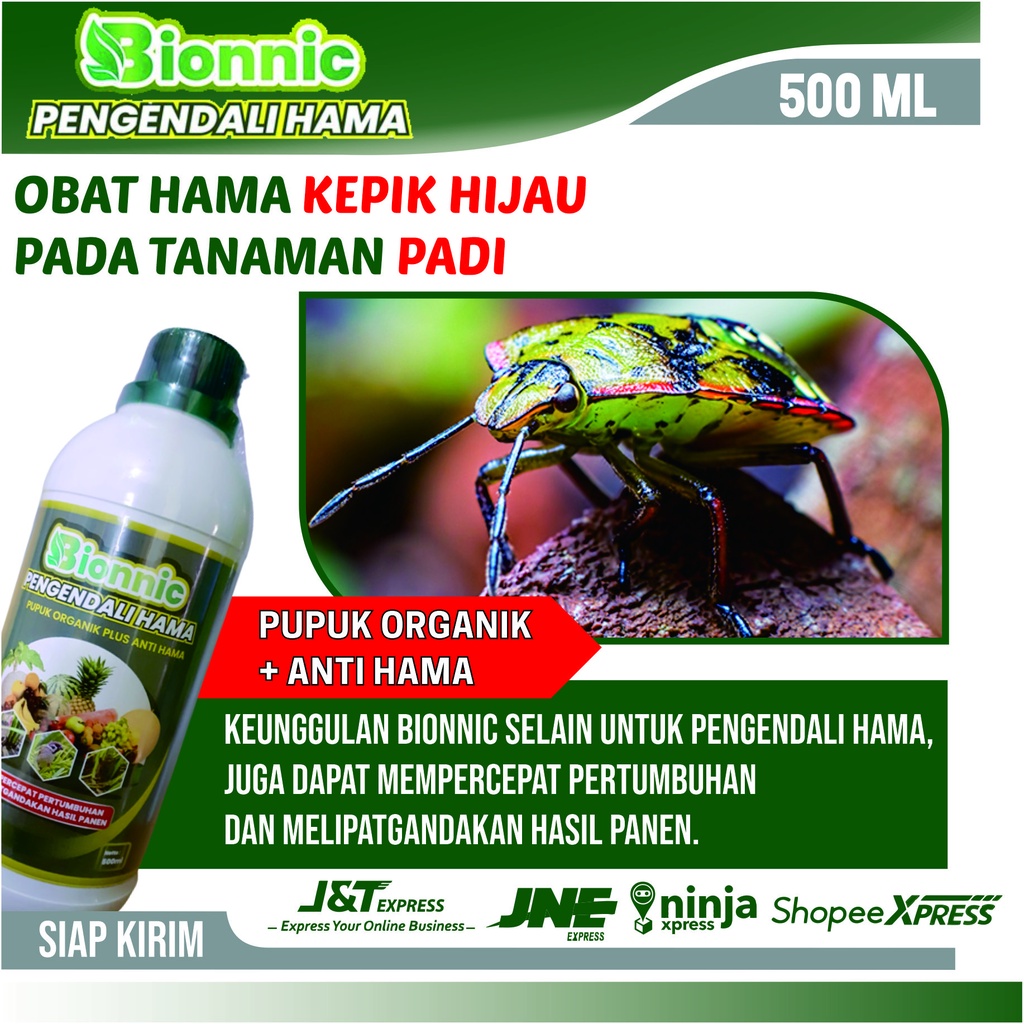 Pembasmi Hama Kepik Hijau Pada Padi - BIONNIC Obat Racun Hama Tikus dan Kepik Hijau Pada Padi - Obat