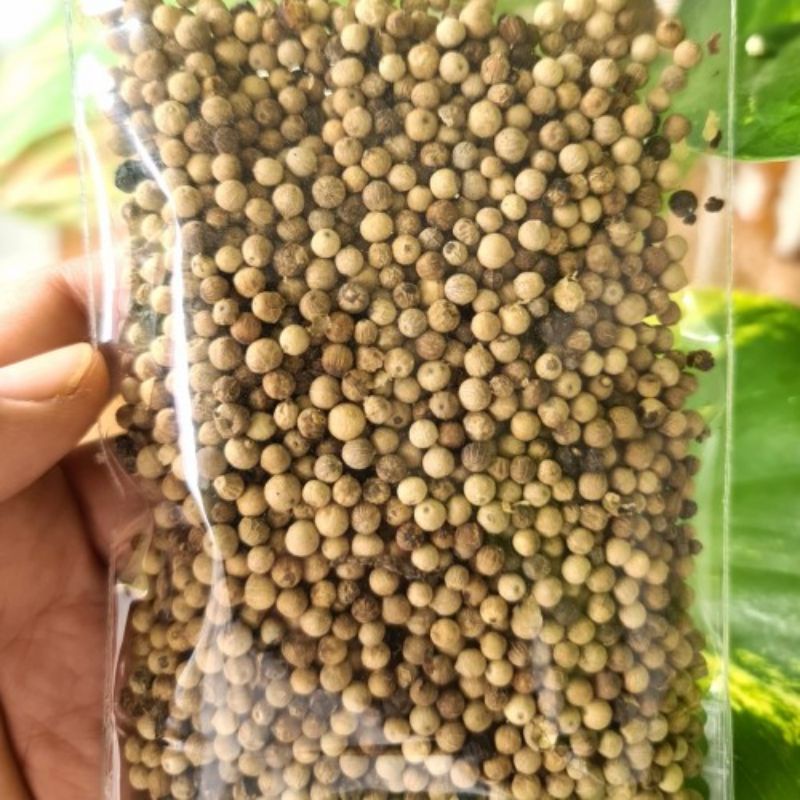 

biji lada putih asli sumatera 100gr