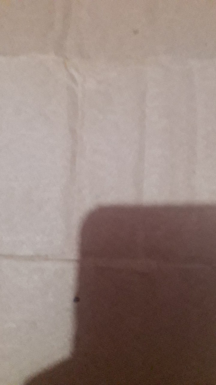 Fungisida Obat Jamur Kaktus Bubuk Ecer