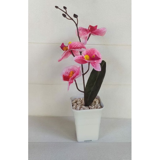 Bunga Hias Meja || Bunga Anggrek