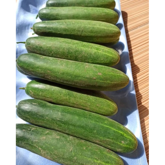 

Mentimun Super Berat 1 kg (Pengiriman Medan)
