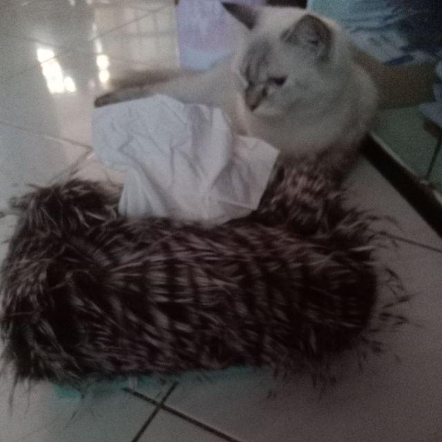 Cover Tissue Bulu Korea