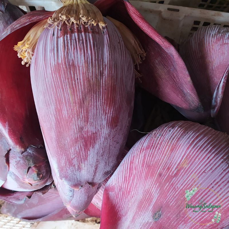 

Jantung Pisang per Pcs Jantung Pisang Segar Sayur Murah Cikarang