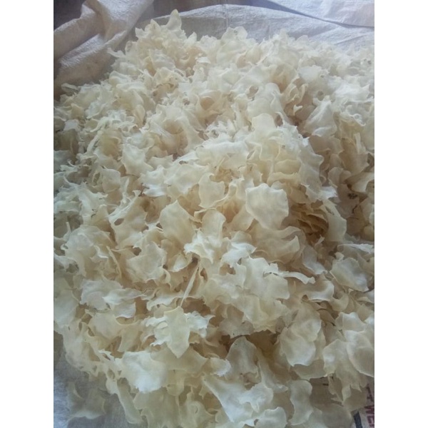 KRUPUK/KRECEK GADUNG MENTAH 1KG