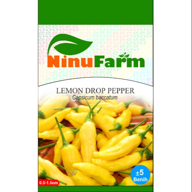 Benih Lemon Drop Pepper 5Seeds