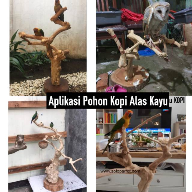 Jual Tangkringan Kayu Kopi Alas Kayu Shopee Indonesia