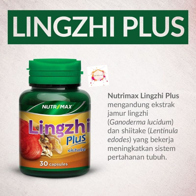 Nutrimax Lingzhi plus 30 capsul || Lingzhi plus