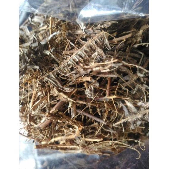 ANDAM PAKU SIAP PAKAI/MEDIA TANAM ANDAM PAKU/MEDIA TANAM ANDAM PAKIS PAKU