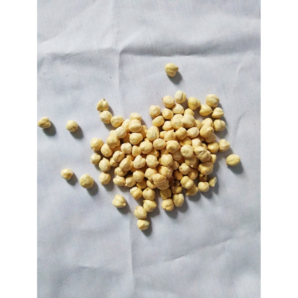 

Kacang Arab terbatas