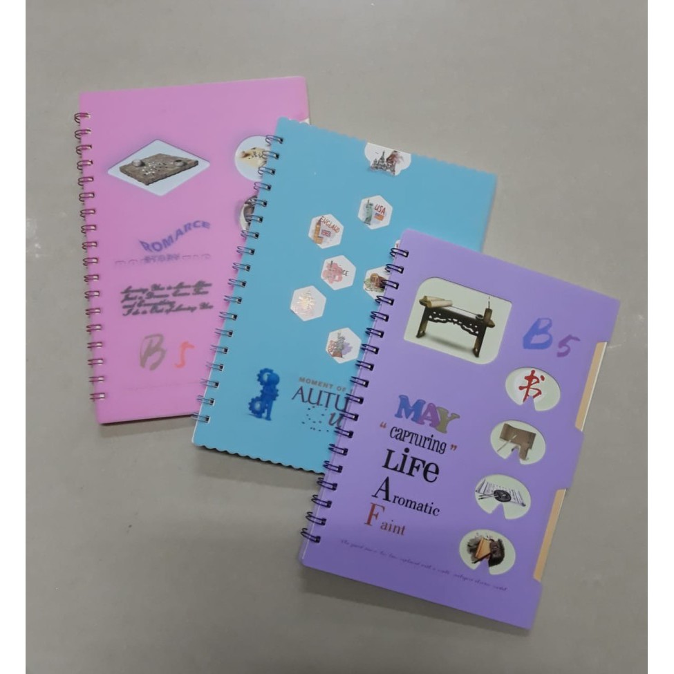 

DIARY SPIRAL FANCY B5 18100-43