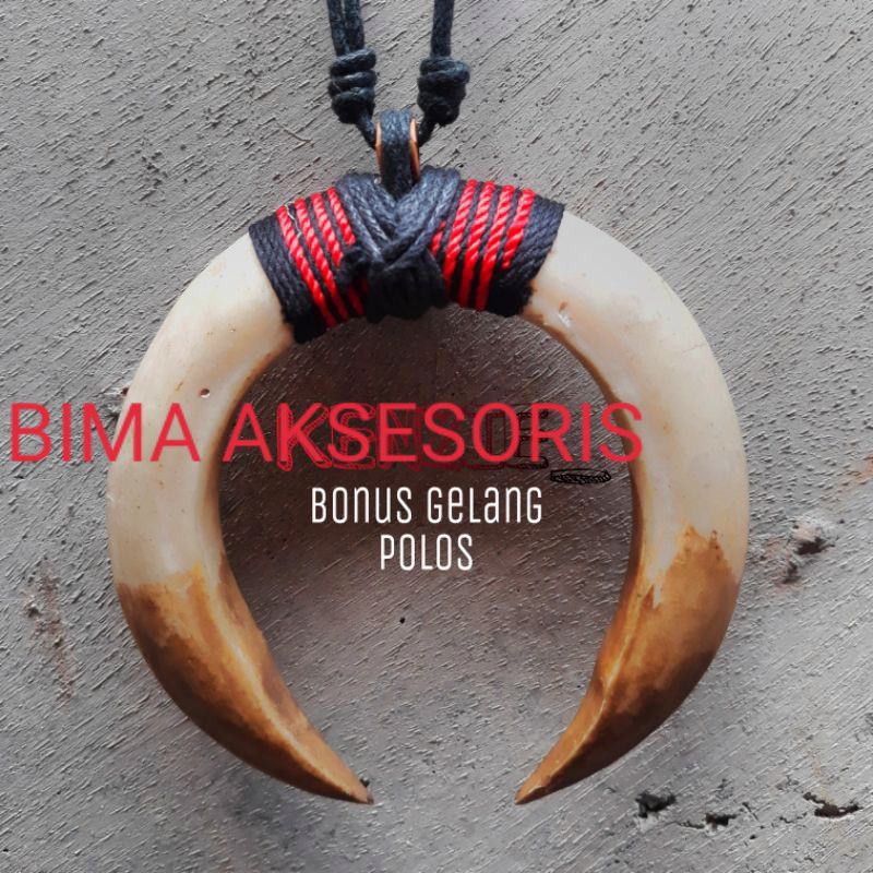 [TERMURAH] KALUNG TARING BABI SEPASANG /KALUNG TARING