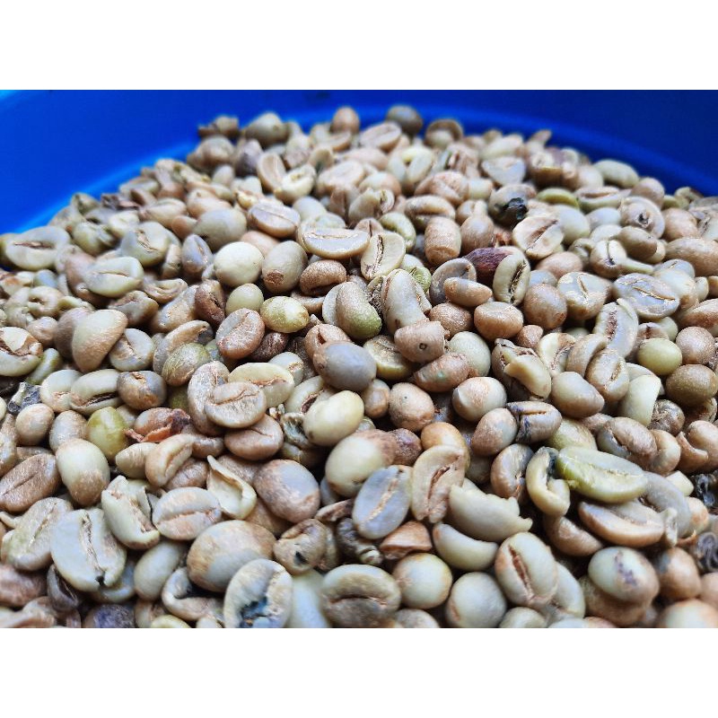 green bean   biji kopi mentah robusta lahat sumsel 1kg 1 kg