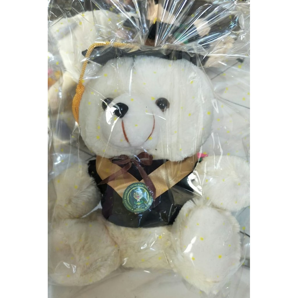 Boneka Beruang Wisuda | Boneka Bear Medium | Boneka Sedang | Teddy Bear Eksklusif Murah