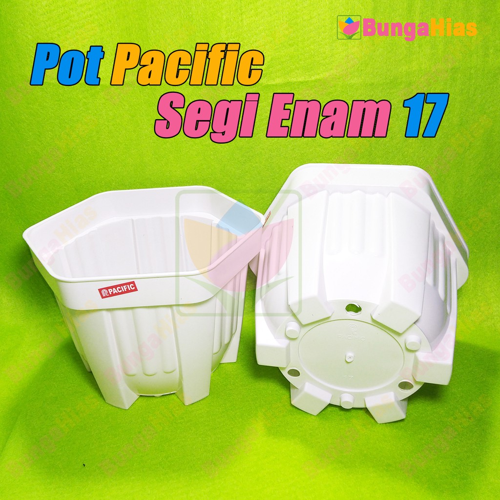 Pot Pacific Segi Enam 17 Hexa Tanaman Bunga Hias Kaktus Sukulen Cactus Mini | Pot Plastik