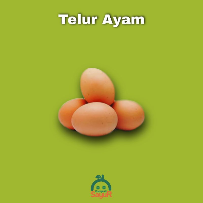 

Telur Ayam Negeri 1 pack isi 10 Butir Harga Special