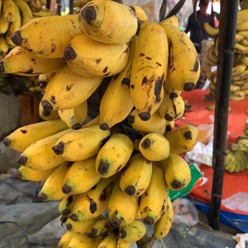 

pisang uli 1 tandan (isi 5-6 sisir)