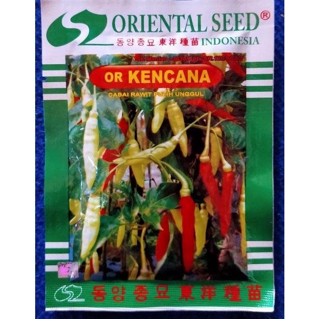 10g BENIH CABE RAWIT PUTIH UNGGUL/CABE RAWIT SETAN