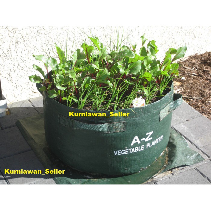 Vegetable Planter - Pot Sayuran - Pot Bunga - Planting Bags-EASY GROW