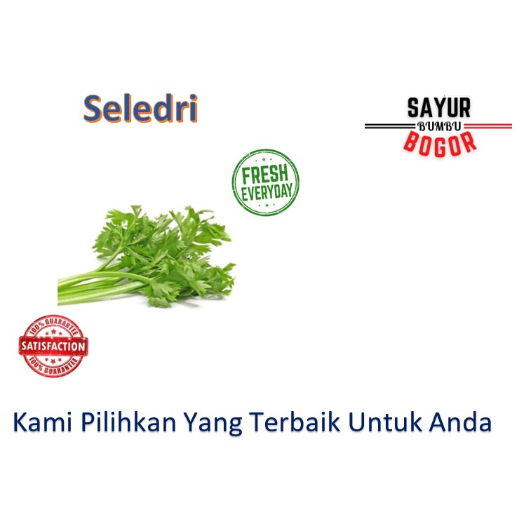 

Seledri / Seledri Sop / Sayur Segar / Sayur Bumbu