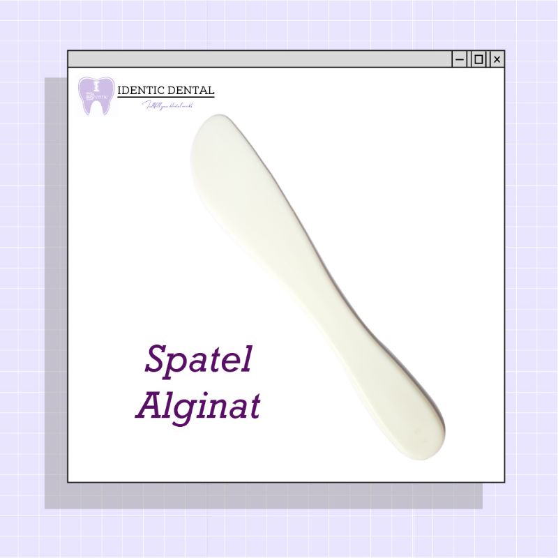 Spatel alginat / spatula alginat plastik