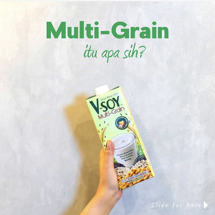 

V-Soy Multigrain - Vsoy Multi Grain Susu kacang soya + 4bijian 1000ml