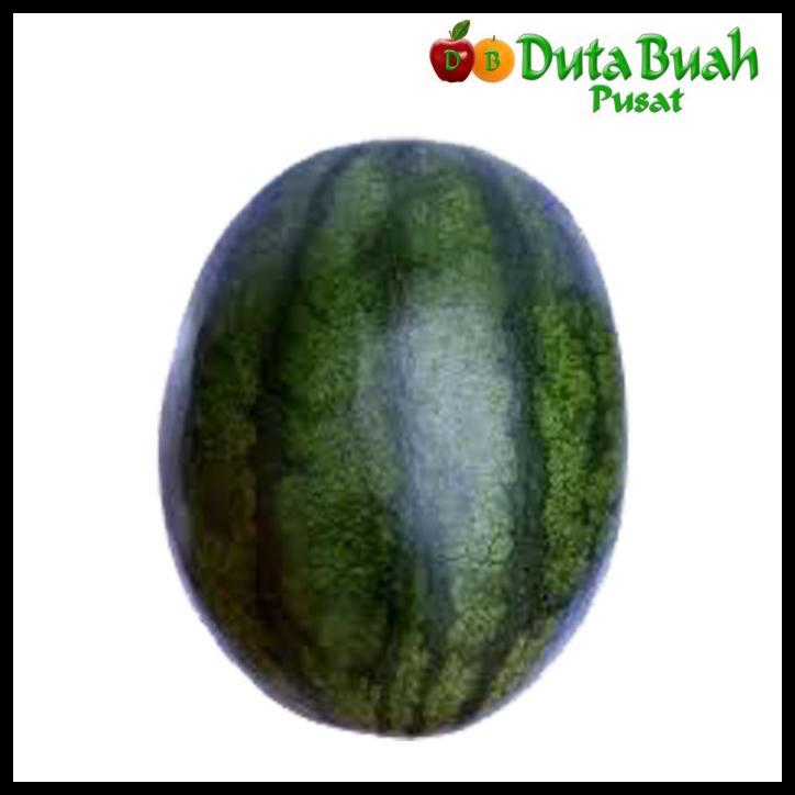 

Duta Buah Semangka Merah Non Biji (5-7Kg/Buah)