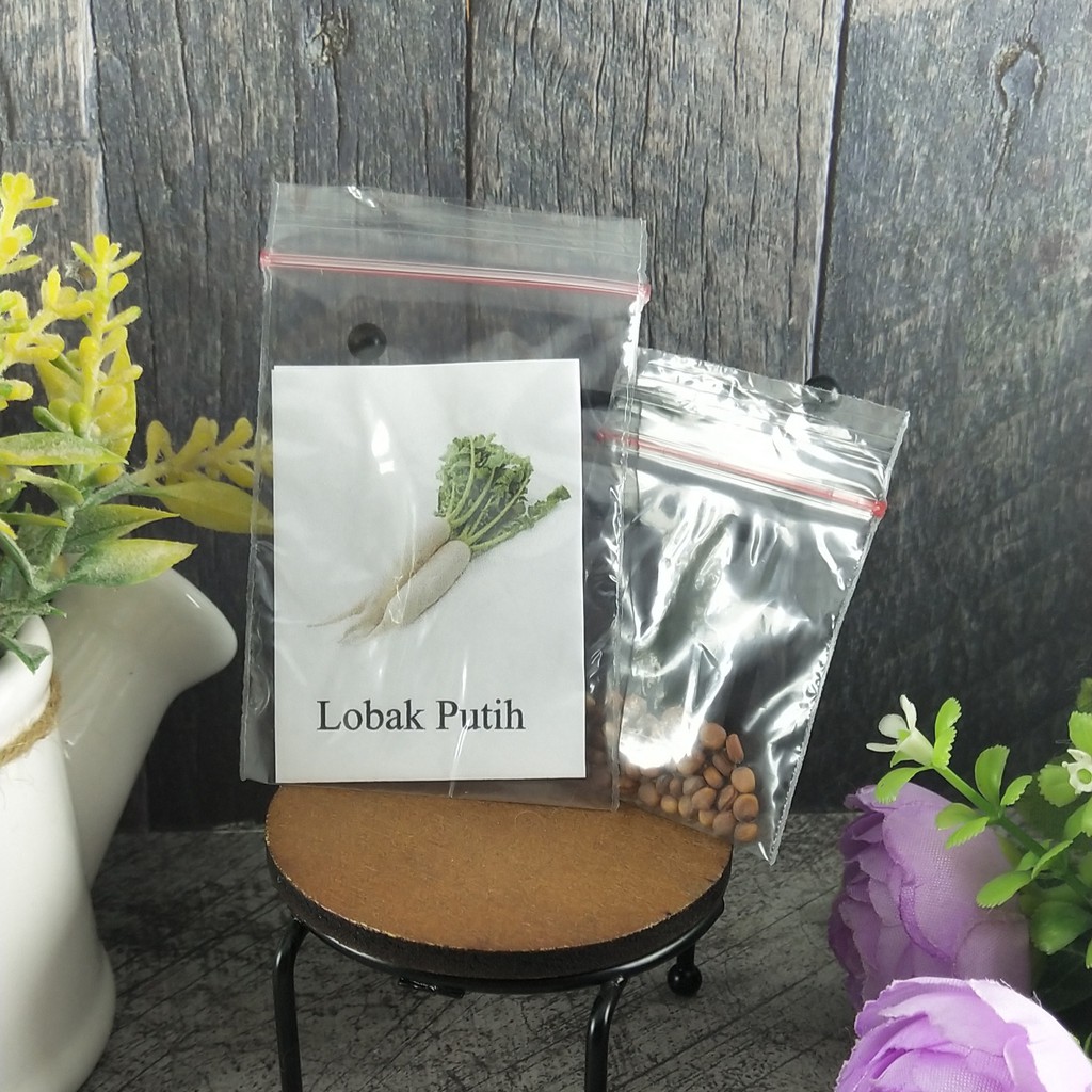 50 Seeds - Lobak Putih Umbi Sayur Bibit Benih Biji Ta Fung - SR0089