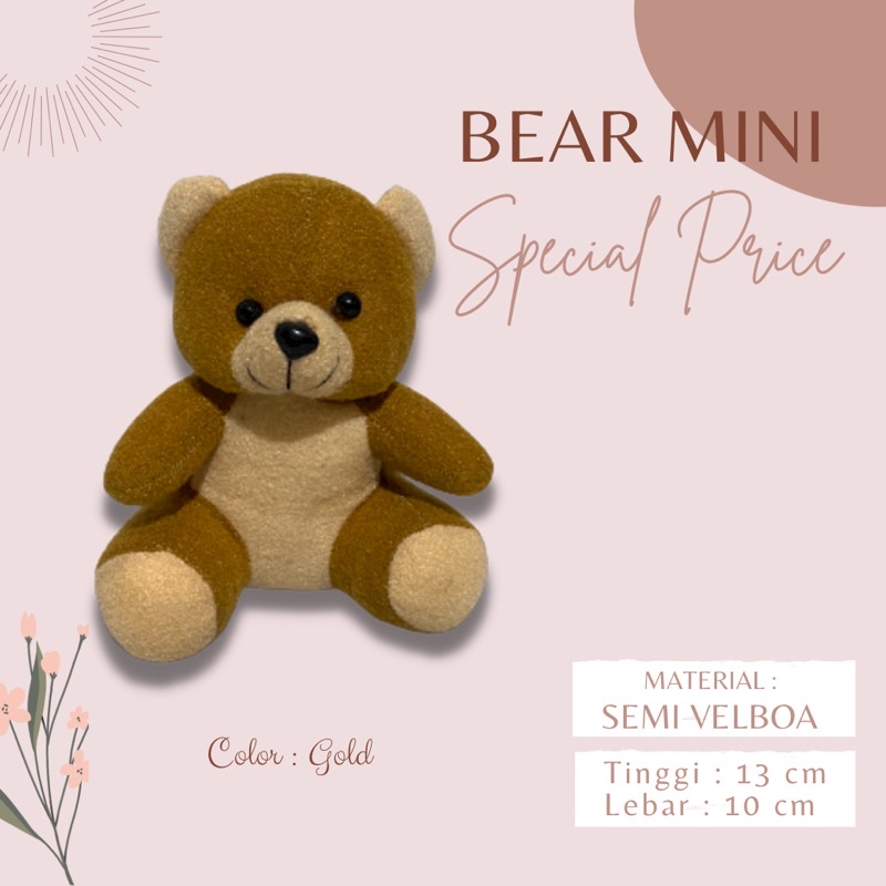 Bear Wisuda 13 dan 15cm / Bear Mini / Boneka Mini / Boneka Bucket / Bear Bucket